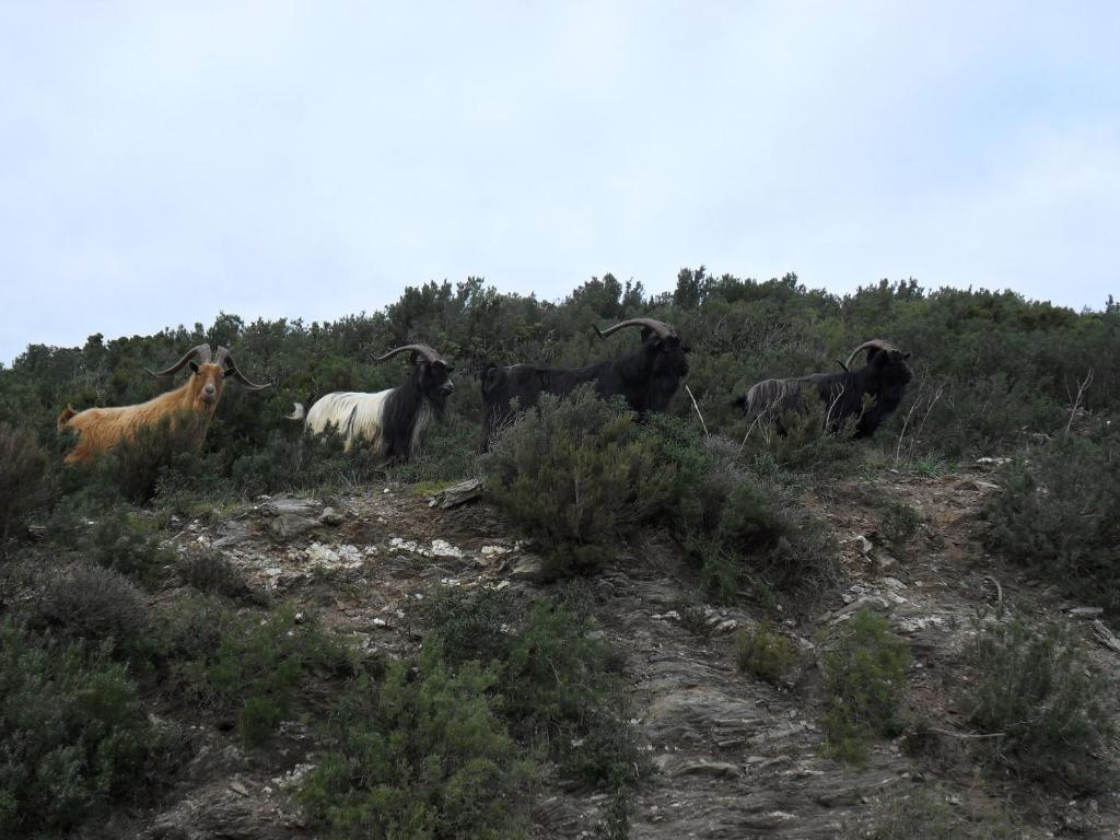 Gite U Licetu A La Campagne Oreta Εξωτερικό φωτογραφία