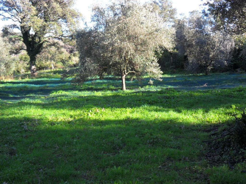 Gite U Licetu A La Campagne Oreta Εξωτερικό φωτογραφία